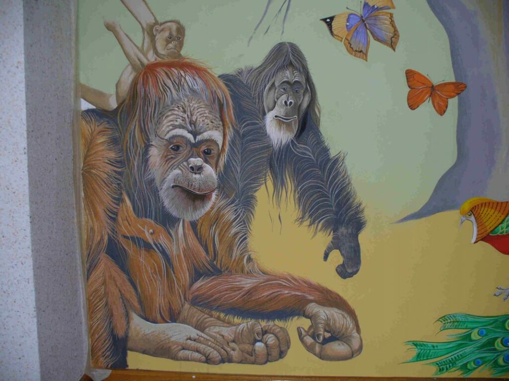 Malermeister Freital