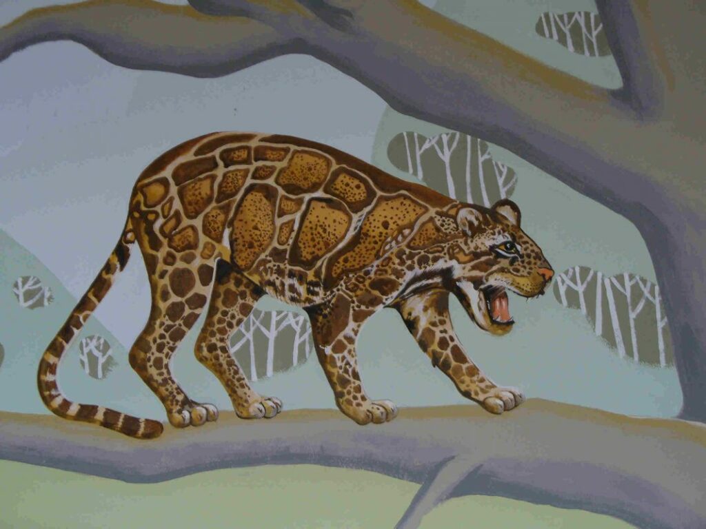 Malermeister Freital